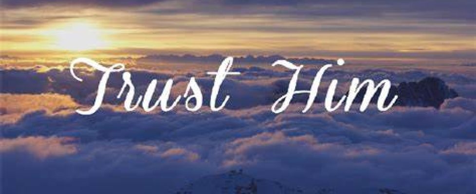 trust him